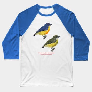 Crimson-breasted Flowerpecker | Prionochilus percussus ⚥ Baseball T-Shirt